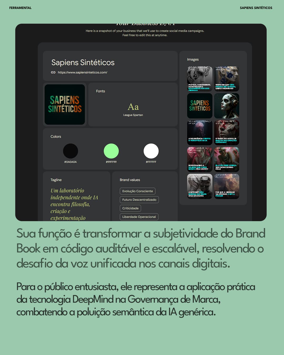 Dashboard do Business DNA Pomelli